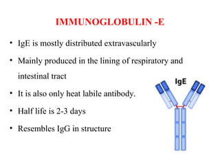 IMMUNOGLOBULIN -E
• IgE is mostly distributed extravascularly
• Mainly produced in the lining of respiratory and
intestinal tract
• It is also only heat labile antibody.
• Half life is 2-3 days
• Resembles IgG in structure
 