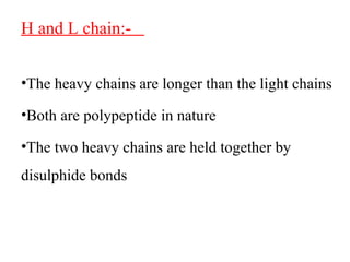 H and L chain:-
•The heavy chains are longer than the light chains
•Both are polypeptide in nature
•The two heavy chains are held together by
disulphide bonds
 