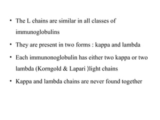 • The L chains are similar in all classes of
immunoglobulins
• They are present in two forms : kappa and lambda
• Each immunonoglobulin has either two kappa or two
lambda (Korngold & Lapari )light chains
• Kappa and lambda chains are never found together
 
