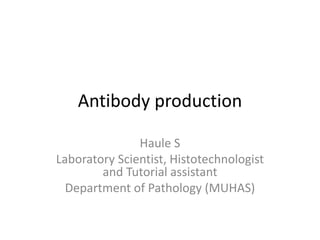 Antibody production
Haule S
Laboratory Scientist, Histotechnologist
and Tutorial assistant
Department of Pathology (MUHAS)
 
