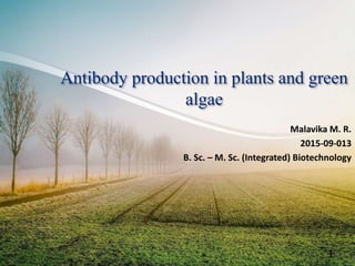 Antibody production in plants and green
algae
Malavika M. R.
2015-09-013
B. Sc. – M. Sc. (Integrated) Biotechnology
1
 