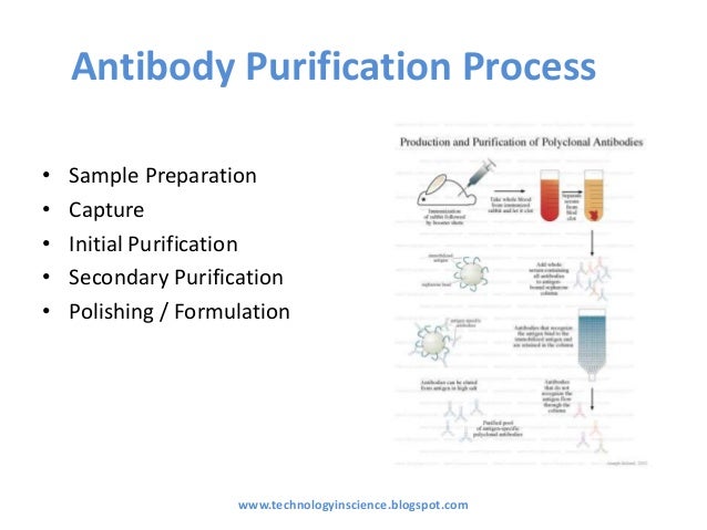 Protein Production And Purification Nature Methods Protein Production And Purification Nature Methods