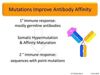Antibodies have several domains4 protein chains2 Light chains1 Variable domain (VL) each1 Constant domain (CL) each2 Heavy chains1 Variable domain (VH) each3 Constant domains (CH) eachVHVHVLVLCHCHCLCLCHCHCHCHD F Gadala-Maria	7 June 2010