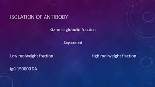 ISOLATION OF ANTIBODY
Gamma globulin fraction
Separated
Low molweight fraction high mol weight fraction
IgG 150000 DA
 