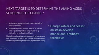 NEXT TARGET IS TO DETERMINE THE AMINO ACIDS
SEQUENCES OF CHAINS ?
• Amino acid sequence require pure sample of
immunoglobulin ?
• Multiple myeloma patient (cancer of plasma
cells) – patient produce large nuber of ig
molecules of particular cell type
Multiple myeloma is a spontaneously in human and
oter mammals eg mice , but chance chances canbe
increase by inducing mineral oil in peritoneal cavity
• George kohler and ceaser
milsteiin develop
monoclonal antibody
technique
 