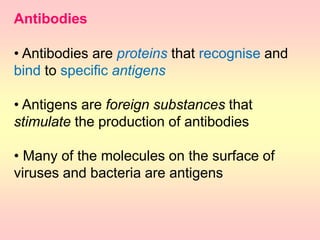 Antibodies
• Antibodies are proteins that recognise and
bind to specific antigens
• Antigens are foreign substances that
stimulate the production of antibodies
• Many of the molecules on the surface of
viruses and bacteria are antigens
 