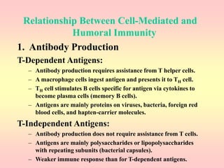 Relationship Between Cell-Mediated and
Humoral Immunity
1. Antibody Production
T-Dependent Antigens:
– Antibody production requires assistance from T helper cells.
– A macrophage cells ingest antigen and presents it to TH cell.
– TH cell stimulates B cells specific for antigen via cytokines to
become plasma cells (memory B cells).
– Antigens are mainly proteins on viruses, bacteria, foreign red
blood cells, and hapten-carrier molecules.
T-Independent Antigens:
– Antibody production does not require assistance from T cells.
– Antigens are mainly polysaccharides or lipopolysaccharides
with repeating subunits (bacterial capsules).
– Weaker immune response than for T-dependent antigens.
 
