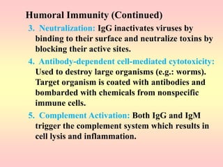 Humoral Immunity (Continued)
3. Neutralization: IgG inactivates viruses by
binding to their surface and neutralize toxins by
blocking their active sites.
4. Antibody-dependent cell-mediated cytotoxicity:
Used to destroy large organisms (e.g.: worms).
Target organism is coated with antibodies and
bombarded with chemicals from nonspecific
immune cells.
5. Complement Activation: Both IgG and IgM
trigger the complement system which results in
cell lysis and inflammation.
 