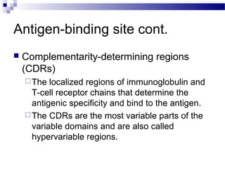 Cd R Region Protein Antibody structure and the generation of b cell | PPT