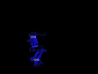 CH3 CH2 
