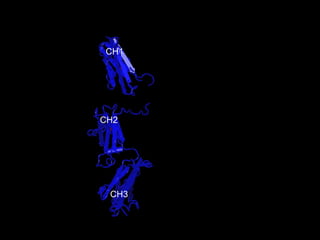 CH3 CH2 CH1 