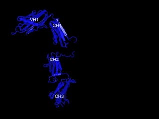 CH3 CH2 CH1 VH1 