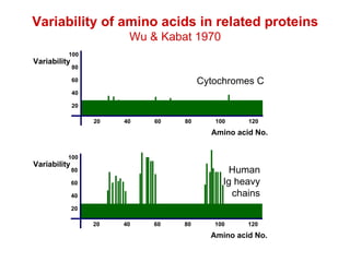Cytochromes C Variability of amino acids in related proteins Wu & Kabat 1970 Amino acid No. Variability 80 100 60 40 20 20 40 60 80 100 120 Amino acid No. Variability 80 100 60 40 20 20 40 60 80 100 120 Human Ig heavy chains 