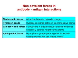 Non-covalent forces in antibody - antigen interactions Electrostatic forces Attraction between opposite charges Hydrogen bonds Hydrogens shared between electronegative atoms Van der Waal’s forces Fluctuations in electron clouds around molecules  oppositely polarise neighbouring atoms Hydrophobic forces Hydrophobic groups pack together to exclude  water (involves Van der Waal’s forces) 