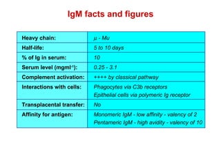 IgM facts and figures Heavy chain:   - Mu Half-life:  5 to 10 days % of Ig in serum: 10 Serum level (mgml -1 ):  0.25 - 3.1 Complement activation: ++++ by classical pathway Interactions with cells:  Phagocytes via C3b receptors Epithelial cells via polymeric Ig receptor Transplacental transfer:  No Affinity for antigen: Monomeric IgM - low affinity - valency of 2 Pentameric IgM - high avidity - valency of 10 