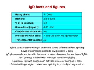 IgD facts and figures IgD is co-expressed with IgM on B cells due to differential RNA splicing Level of expression exceeds IgM on naïve B cells IgD plasma cells are found in the nasal mucosa - however the function of IgD in host defence is unknown - knockout mice inconclusive Ligation of IgD with antigen can activate, delete or anergise B cells Extended hinge region confers susceptibility to proteolytic degradation Heavy chain:   - Delta Half-life:  2 to 8 days % of Ig in serum: 0.2 Serum level (mgml -1 ):  0.03 - 0.4 Complement activation: No Interactions with cells:   T cells via lectin like IgD receptor Transplacental transfer:  No 