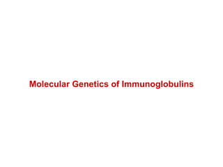 Molecular Genetics of Immunoglobulins 