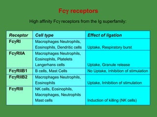 Antibody Structure & Function | PPT