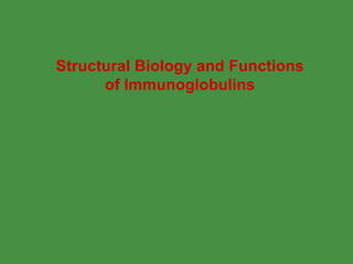Structural Biology and Functions of Immunoglobulins 