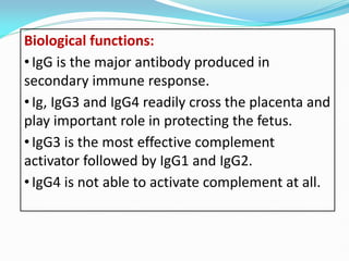 Antibody Structure Types And Functionpdf 