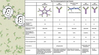 Antibody structure and types- Immunoglobulin.pptx