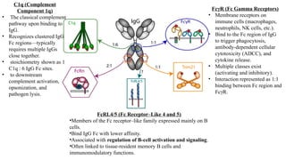 Antibody structure and types- Immunoglobulin.pptx