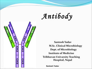 Santosh Yadav
Antibody
Santosh Yadav
M.Sc. Clinical Microbiology
Dept. of Microbiology
Institute of Medicine
Tribhuvan Univarsity Teaching
Hospital, Nepal
 