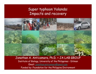 Super typhoon Yolanda:
Impacts and recovery
Jonathan A. Anticamara, Ph.D. + JA LAB GROUP
Institute of Biology, University of the Philippines - Diliman
Email: jonathan.anticamara@gmail.com
Funded by: Foundation for the Philippine Environment
 