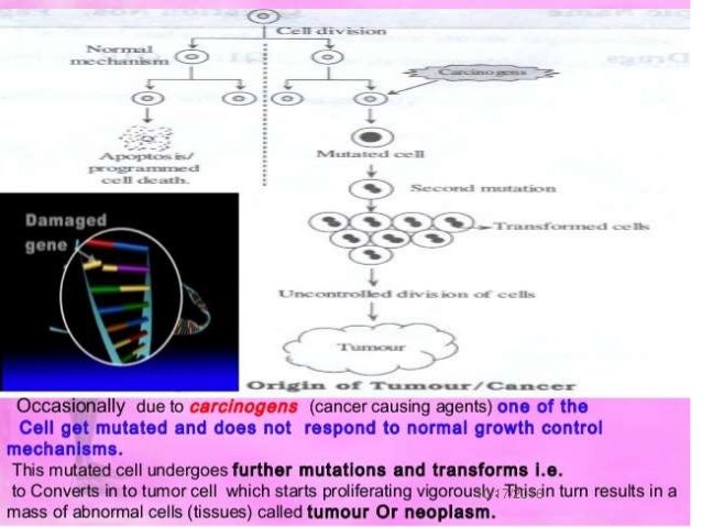 NEOPLASTIC DISEASE