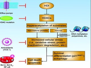 Recent advances in the Anticancer treatment | PPTX