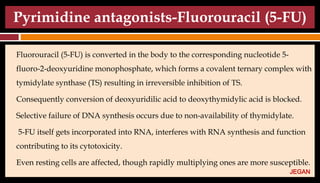 Pyrimidine antagonists-Fluorouracil (5-FU)
Fluorouracil (5-FU) is converted in the body to the corresponding nucleotide 5-
fluoro-2-deoxyuridine monophosphate, which forms a covalent ternary complex with
tymidylate synthase (TS) resulting in irreversible inhibition of TS.
Consequently conversion of deoxyuridilic acid to deoxythymidylic acid is blocked.
Selective failure of DNA synthesis occurs due to non-availability of thymidylate.
5-FU itself gets incorporated into RNA, interferes with RNA synthesis and function
contributing to its cytotoxicity.
Even resting cells are affected, though rapidly multiplying ones are more susceptible.
JEGAN
 
