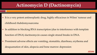 Actinomycin D (Dactinomycin)
● It is a very potent antineoplastic drug, highly efficacious in Wilms’ tumour and
childhood rhabdomyosarcoma
● In addition to blocking RNA transcription (due to interference with template
function of DNA) dactinomycin causes single strand breaks in DNA.
● Prominent adverse effects are vomiting, stomatitis, diarrhoea, erythema and
desquamation of skin, alopecia and bone marrow depression
JEGAN
 