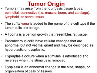 Tumor Origin
• Tumors may arise from the four basic tissue types:
epithelial, connective (i.e. muscle, bone, and cartilage),
lymphoid, or nerve tissue.
• The suffix -oma is added to the name of the cell type if the
tumor cells are benign.
• A lipoma is a benign growth that resembles fat tissue.
• Precancerous cells have cellular changes that are
abnormal but not yet malignant and may be described as
hyperplastic or dysplastic.
• Hyperplasia occurs when a stimulus is introduced and
reverses when the stimulus is removed.
• Dysplasia is an abnormal change in the size, shape, or
organization of cells or tissues.
 