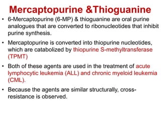Mercaptopurine &Thioguanine
• 6-Mercaptopurine (6-MP) & thioguanine are oral purine
analogues that are converted to ribonucleotides that inhibit
purine synthesis.
• Mercaptopurine is converted into thiopurine nucleotides,
which are catabolized by thiopurine S-methyltransferase
(TPMT)
• Both of these agents are used in the treatment of acute
lymphocytic leukemia (ALL) and chronic myeloid leukemia
(CML).
• Because the agents are similar structurally, cross-
resistance is observed.
 