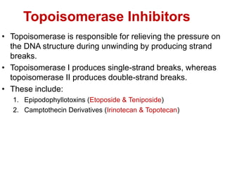 Topoisomerase Inhibitors
• Topoisomerase is responsible for relieving the pressure on
the DNA structure during unwinding by producing strand
breaks.
• Topoisomerase I produces single-strand breaks, whereas
topoisomerase II produces double-strand breaks.
• These include:
1. Epipodophyllotoxins (Etoposide & Teniposide)
2. Camptothecin Derivatives (Irinotecan & Topotecan)
 
