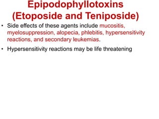 Epipodophyllotoxins
(Etoposide and Teniposide)
• Side effects of these agents include mucositis,
myelosuppression, alopecia, phlebitis, hypersensitivity
reactions, and secondary leukemias.
• Hypersensitivity reactions may be life threatening
 