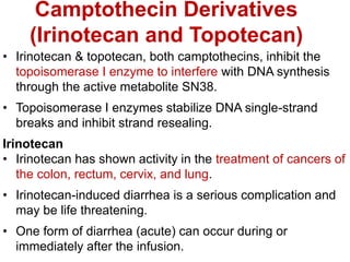 Camptothecin Derivatives
(Irinotecan and Topotecan)
• Irinotecan & topotecan, both camptothecins, inhibit the
topoisomerase I enzyme to interfere with DNA synthesis
through the active metabolite SN38.
• Topoisomerase I enzymes stabilize DNA single-strand
breaks and inhibit strand resealing.
Irinotecan
• Irinotecan has shown activity in the treatment of cancers of
the colon, rectum, cervix, and lung.
• Irinotecan-induced diarrhea is a serious complication and
may be life threatening.
• One form of diarrhea (acute) can occur during or
immediately after the infusion.
 