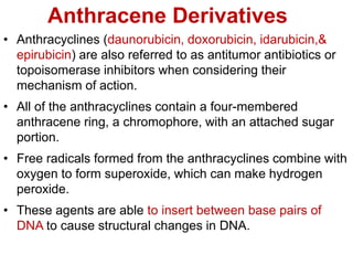 Anthracene Derivatives
• Anthracyclines (daunorubicin, doxorubicin, idarubicin,&
epirubicin) are also referred to as antitumor antibiotics or
topoisomerase inhibitors when considering their
mechanism of action.
• All of the anthracyclines contain a four-membered
anthracene ring, a chromophore, with an attached sugar
portion.
• Free radicals formed from the anthracyclines combine with
oxygen to form superoxide, which can make hydrogen
peroxide.
• These agents are able to insert between base pairs of
DNA to cause structural changes in DNA.
 