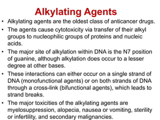 Alkylating Agents
• Alkylating agents are the oldest class of anticancer drugs.
• The agents cause cytotoxicity via transfer of their alkyl
groups to nucleophilic groups of proteins and nucleic
acids.
• The major site of alkylation within DNA is the N7 position
of guanine, although alkylation does occur to a lesser
degree at other bases.
• These interactions can either occur on a single strand of
DNA (monofunctional agents) or on both strands of DNA
through a cross-link (bifunctional agents), which leads to
strand breaks.
• The major toxicities of the alkylating agents are
myelosuppression, alopecia, nausea or vomiting, sterility
or infertility, and secondary malignancies.
 