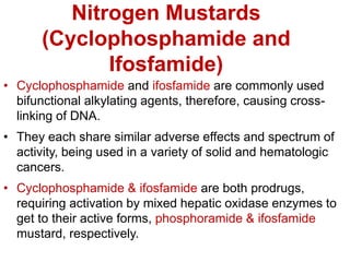 Nitrogen Mustards
(Cyclophosphamide and
Ifosfamide)
• Cyclophosphamide and ifosfamide are commonly used
bifunctional alkylating agents, therefore, causing cross-
linking of DNA.
• They each share similar adverse effects and spectrum of
activity, being used in a variety of solid and hematologic
cancers.
• Cyclophosphamide & ifosfamide are both prodrugs,
requiring activation by mixed hepatic oxidase enzymes to
get to their active forms, phosphoramide & ifosfamide
mustard, respectively.
 