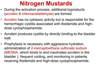 Nitrogen Mustards
• During the activation process, additional byproducts
(acrolein & chloroacetaldehyde) are formed.
• Acrolein has no cytotoxic activity but is responsible for the
hemorrhagic cystitis associated with ifosfamide and high-
dose cyclophosphamide.
• Acrolein produces cystitis by directly binding to the bladder
wall.
• Prophylaxis is necessary with aggressive hydration,
administration of 2-mercaptoethane sulfonate sodium
(MESNA, which binds to and inactivates acrolein in the
bladder ), frequent voiding, and monitoring in patients
receiving ifosfamide and high-dose cyclophosphamide.
 