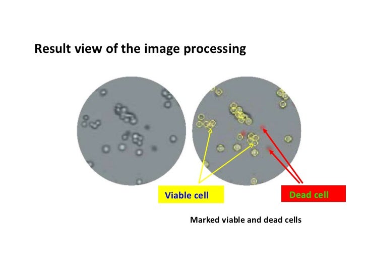 Anticancer activity phd thesis