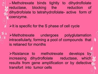  Methotrexate binds tightly to dihydroflolate
reductase, blocking the reduction of
dihydrofolate to tetrahydrofolate- active form of
coenzyme.
It is specific for the S phase of cell cycle
Methotrexate undergoes polyglutamation
intracellularly, forming a pool of compounds that
is retianed for months
Rsistance to methotrexate develops by
increasing dihydroflolate reductase, which
results from gene amplification or by defective
transfort into tumor cells
 