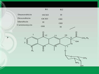 
O
CH2 R2
O
O
O
OH
O
NH2
OH
CH2
R1
R1 R2
Daunorubicin OCH3
Doxorubicin OCH3
H
OH
Idarubicin H
OH
Carminomycin
OH H
1
2
3
4 5 7
6
8
9
10
11
12
 