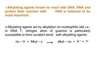 Alkylating agents known to react with DNA, RNA and
protein their reaction with DNA is believed to be
most important.
Alkylating agents act by alkylation on nucleophilic site i.e.,
In DNA 7- nitrogen atom of guanine is particularly
susceptible to form covalent bond with alkylating agents.
nu – H + Alkyl – y alkyl – nu + H + + Y -
 