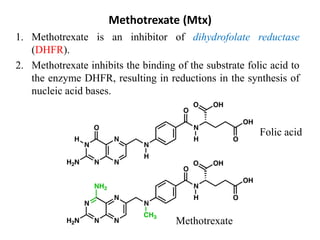Methotrexate (Mtx)
1. Methotrexate is an inhibitor of dihydrofolate reductase
(DHFR).
2. Methotrexate inhibits the binding of the substrate folic acid to
the enzyme DHFR, resulting in reductions in the synthesis of
nucleic acid bases.
Methotrexate
Folic acid
 