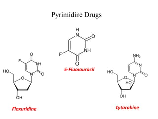 Pyrimidine Drugs
5-Fluorouracil
Cytarabine
Floxuridine
 
