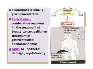 Fluorouracil is usually
given parenterally.
Clinical uses:‐
combination regimens
in the treatment of
breast cancer, palliative
treatment of
gastrointestinal
adenocarcinomas.
ADR:‐ GIT epithelial
damage , myelotoxicity.
 