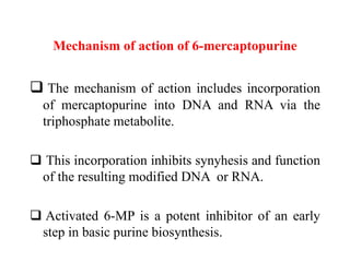 Mechanism of action of 6-mercaptopurine
 The mechanism of action includes incorporation
of mercaptopurine into DNA and RNA via the
triphosphate metabolite.
 This incorporation inhibits synyhesis and function
of the resulting modified DNA or RNA.
 Activated 6-MP is a potent inhibitor of an early
step in basic purine biosynthesis.
 