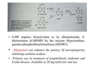 • 6-MP requires bioactivation to its ribonucleotide, 6-
thioinosinate (6-MPMP) by the enzyme Hypoxanthine-
guanine phosphoribosyltransferase (HGPRT).
• Allopurinol can enhance the potency 0f mercaptopurine
inhibiting xanthine oxidase
• Primary use in treatment of lymphoblastic leukemia and
Crohn disease. Available as 50 mg tablet for oral use
 